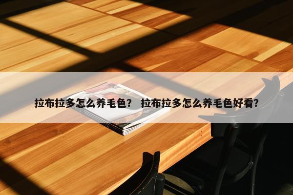 拉布拉多怎么养毛色？ 拉布拉多怎么养毛色好看？
