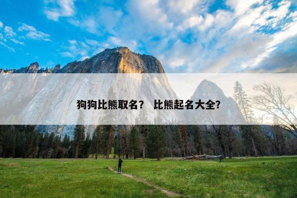 狗狗比熊取名？ 比熊起名大全？
