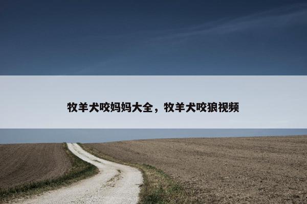 牧羊犬咬妈妈大全，牧羊犬咬狼视频