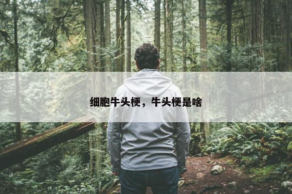 细胞牛头梗，牛头梗是啥