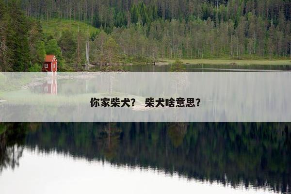 你家柴犬？ 柴犬啥意思？