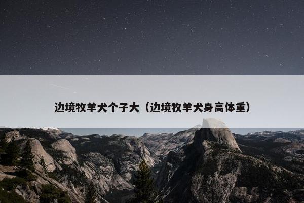 边境牧羊犬个子大（边境牧羊犬身高体重）