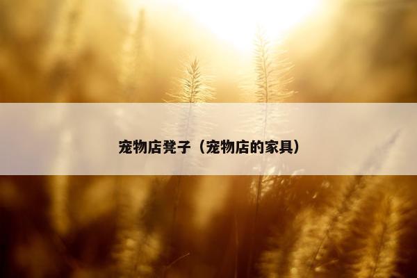 宠物店凳子（宠物店的家具）