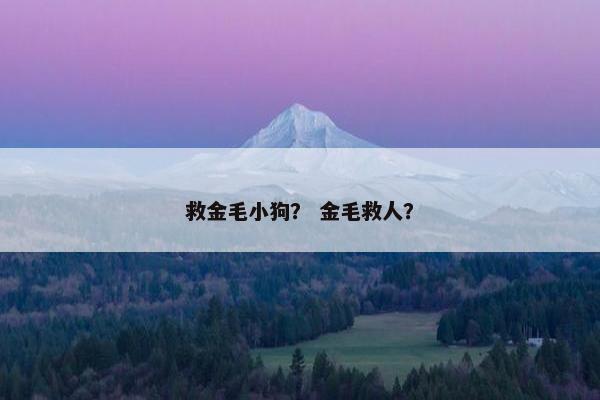 救金毛小狗？ 金毛救人？