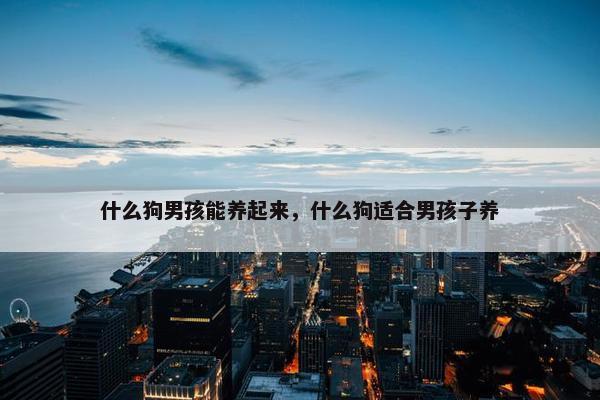 什么狗男孩能养起来，什么狗适合男孩子养