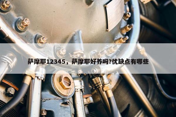 萨摩耶12345，萨摩耶好养吗?优缺点有哪些