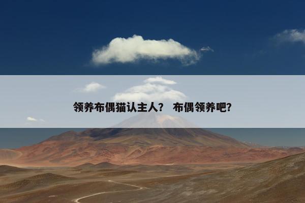 主人 第8页