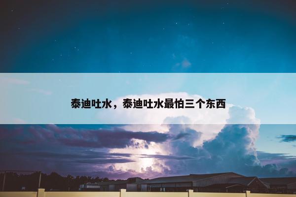 泰迪吐水，泰迪吐水最怕三个东西