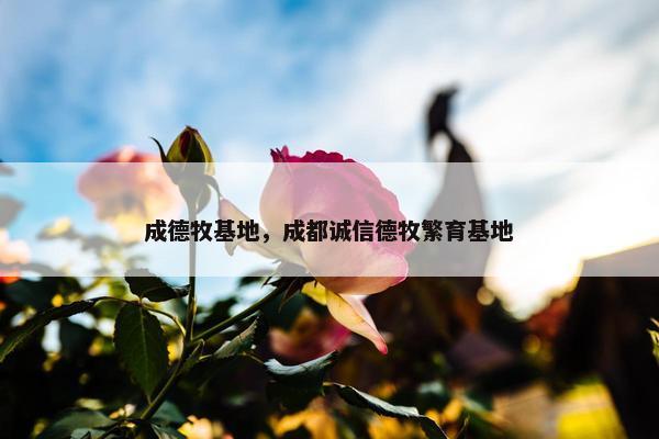 成德牧基地，成都诚信德牧繁育基地