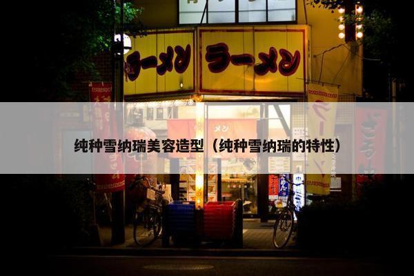 纯种雪纳瑞美容造型（纯种雪纳瑞的特性）