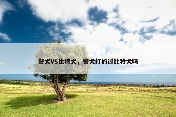 警犬VS比特犬，警犬打的过比特犬吗
