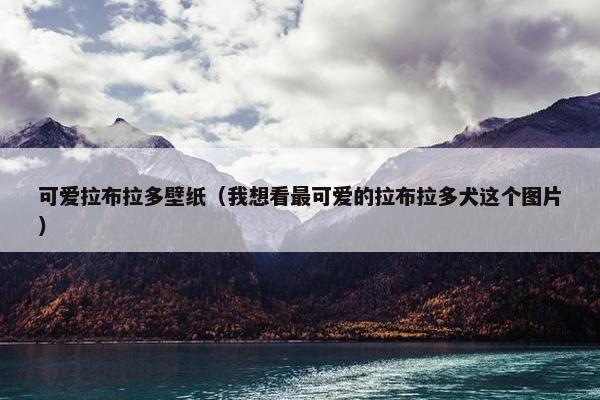 可爱拉布拉多壁纸（我想看最可爱的拉布拉多犬这个图片）