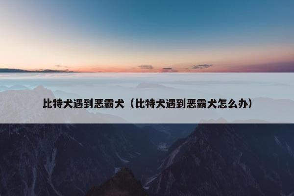 比特犬遇到恶霸犬（比特犬遇到恶霸犬怎么办）