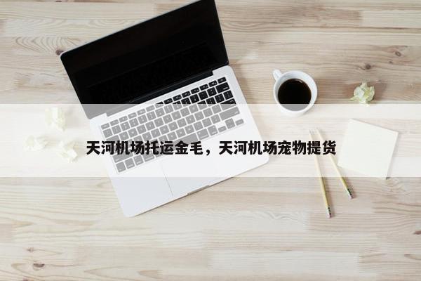 天河机场托运金毛，天河机场宠物提货
