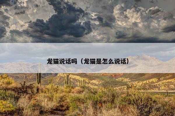 龙猫说话吗（龙猫是怎么说话）