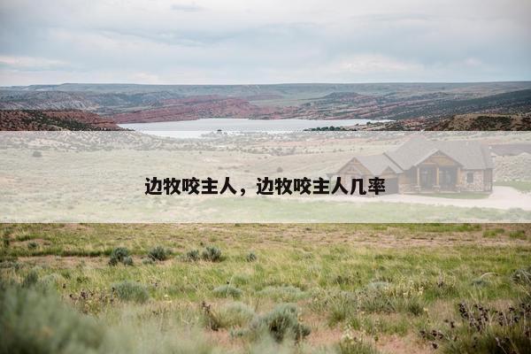 边牧咬主人，边牧咬主人几率