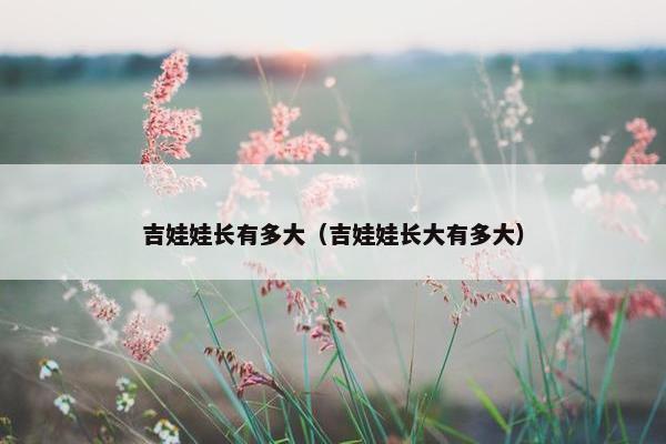 吉娃娃长有多大（吉娃娃长大有多大）