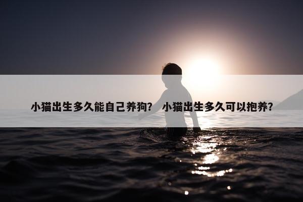 小猫出生多久能自己养狗？ 小猫出生多久可以抱养？
