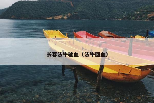 长春法牛输血（法牛回血）