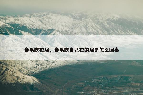 金毛吃拉屎，金毛吃自己拉的屎是怎么回事
