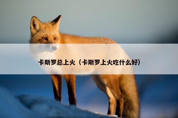 卡斯罗总上火（卡斯罗上火吃什么好）