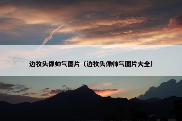 边牧头像帅气图片（边牧头像帅气图片大全）