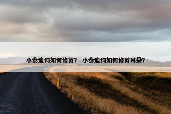 小泰迪狗如何修剪？ 小泰迪狗如何修剪耳朵？
