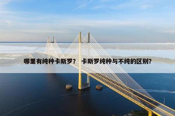 哪里有纯种卡斯罗？ 卡斯罗纯种与不纯的区别？