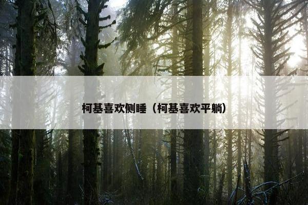 柯基喜欢侧睡（柯基喜欢平躺）