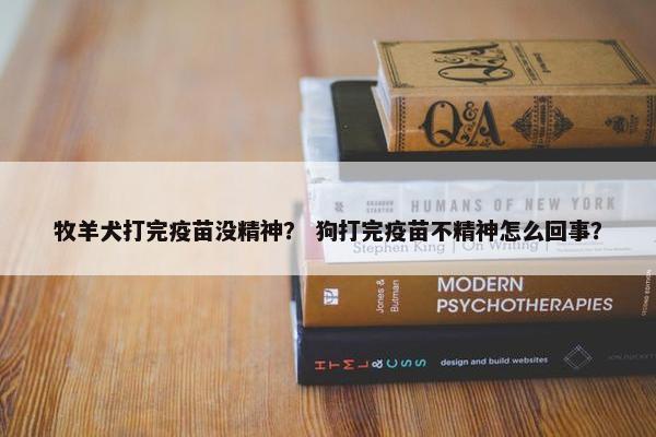 牧羊犬打完疫苗没精神？ 狗打完疫苗不精神怎么回事？