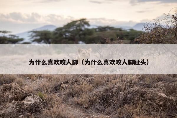 为什么喜欢咬人脚（为什么喜欢咬人脚趾头）