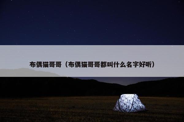 布偶猫哥哥（布偶猫哥哥都叫什么名字好听）