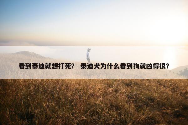 看到泰迪就想打死？ 泰迪犬为什么看到狗就凶得很？