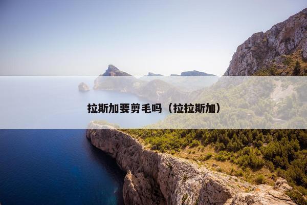拉斯加要剪毛吗（拉拉斯加）