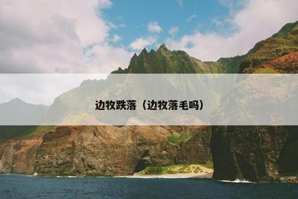 边牧跌落（边牧落毛吗）