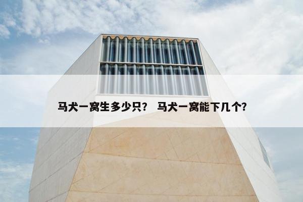 马犬一窝生多少只？ 马犬一窝能下几个？