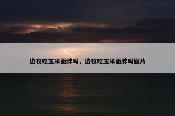 边牧吃玉米面胖吗，边牧吃玉米面胖吗图片
