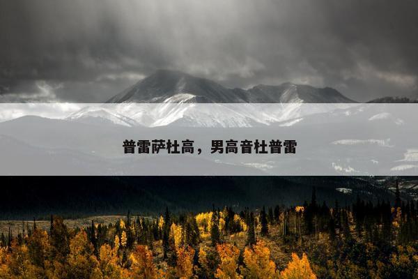 普雷萨杜高，男高音杜普雷