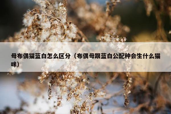 2025年6月15日 第10页