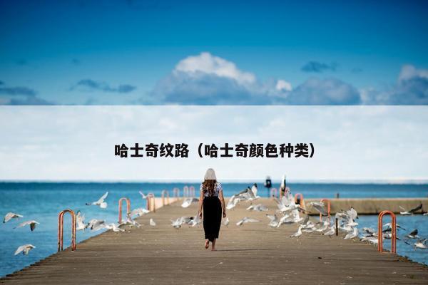 哈士奇纹路（哈士奇颜色种类）