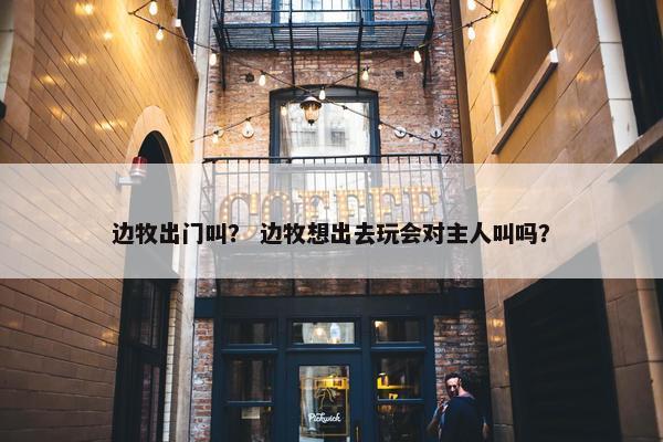 边牧出门叫？ 边牧想出去玩会对主人叫吗？