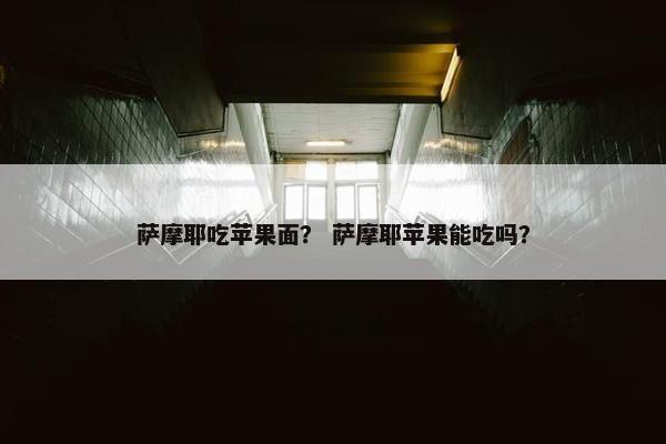 萨摩耶吃苹果面？ 萨摩耶苹果能吃吗？