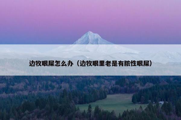 边牧眼屎怎么办（边牧眼里老是有脓性眼屎）