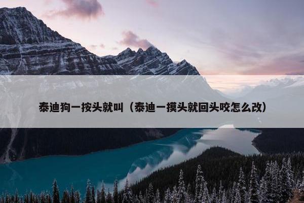 泰迪狗一按头就叫（泰迪一摸头就回头咬怎么改）
