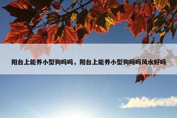 阳台上能养小型狗吗吗，阳台上能养小型狗吗吗风水好吗