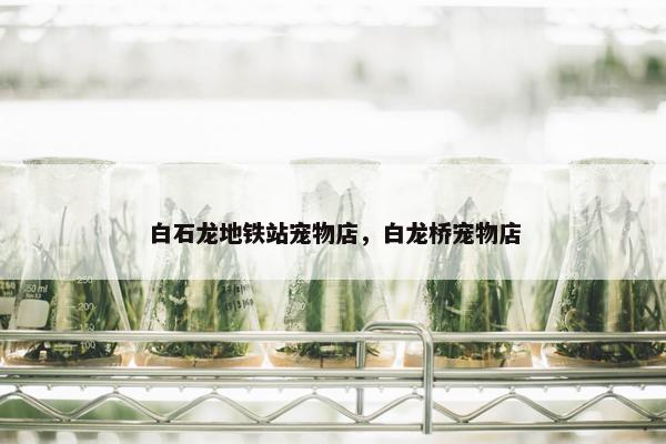 白石龙地铁站宠物店，白龙桥宠物店