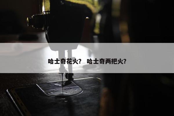 哈士奇花火？ 哈士奇两把火？
