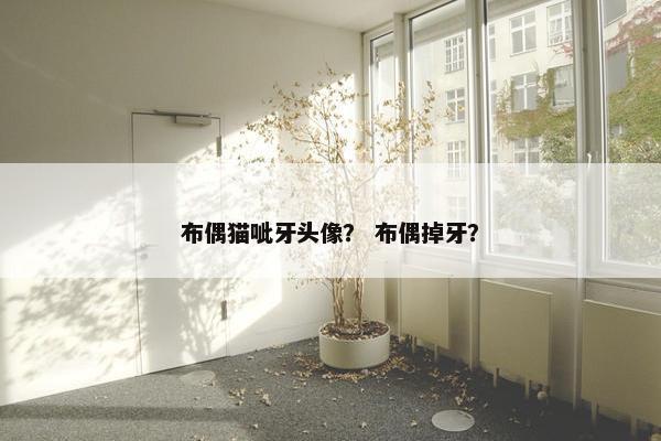 布偶猫呲牙头像？ 布偶掉牙？
