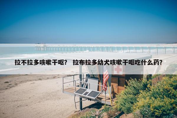 拉不拉多咳嗽干呕？ 拉布拉多幼犬咳嗽干呕吃什么药？