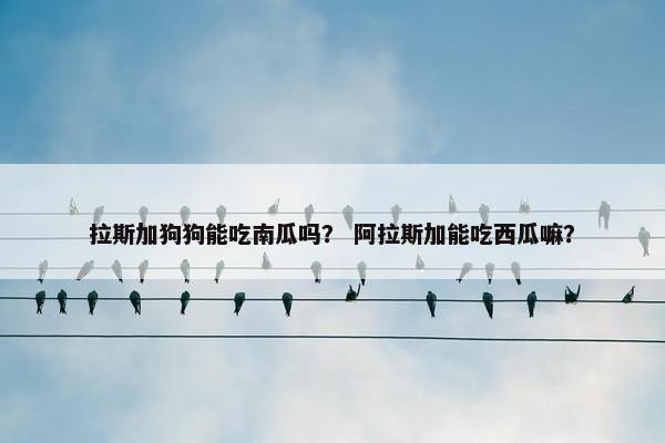 拉斯加狗狗能吃南瓜吗？ 阿拉斯加能吃西瓜嘛？